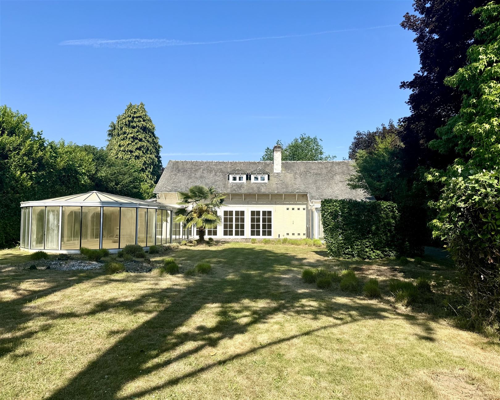 E1638835158919410239 229axl